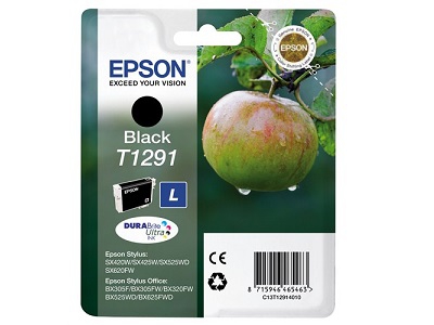 Epson C13T12914021 / T1291 Siyah Kartuş